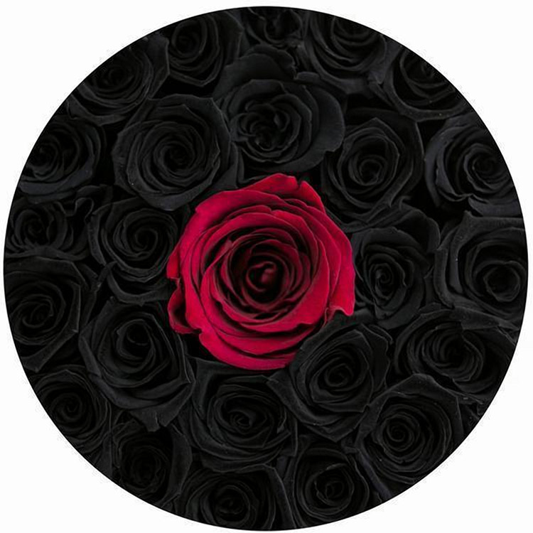 1 красная и черные розы в шляпной коробке (сверху)