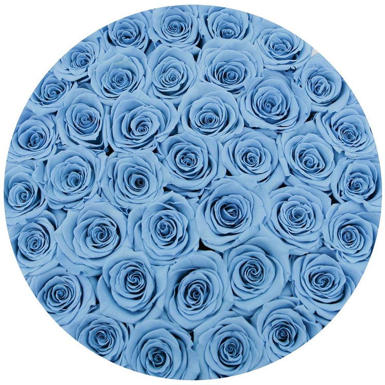 37 синих роз в шляпной коробке (сверху)